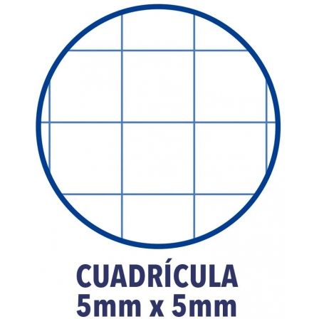 Oxford Cuaderno con Espiral European Book 1 Touch A4+ 80 Hojas Lima